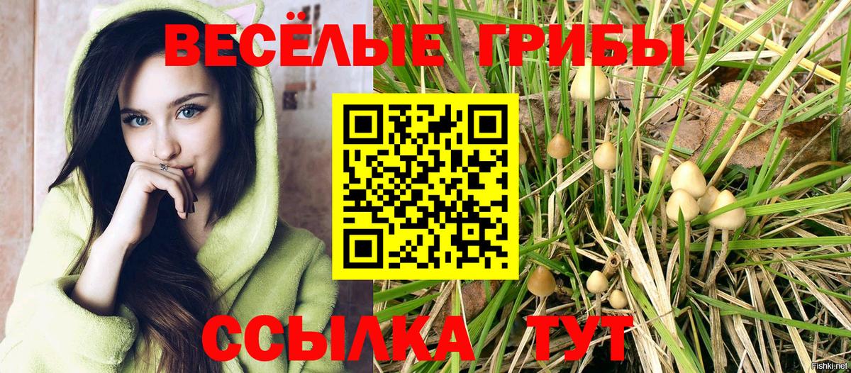 Галлюциногенные грибы GOLDEN TEACHER  Вход с VPN  Добрянка 
